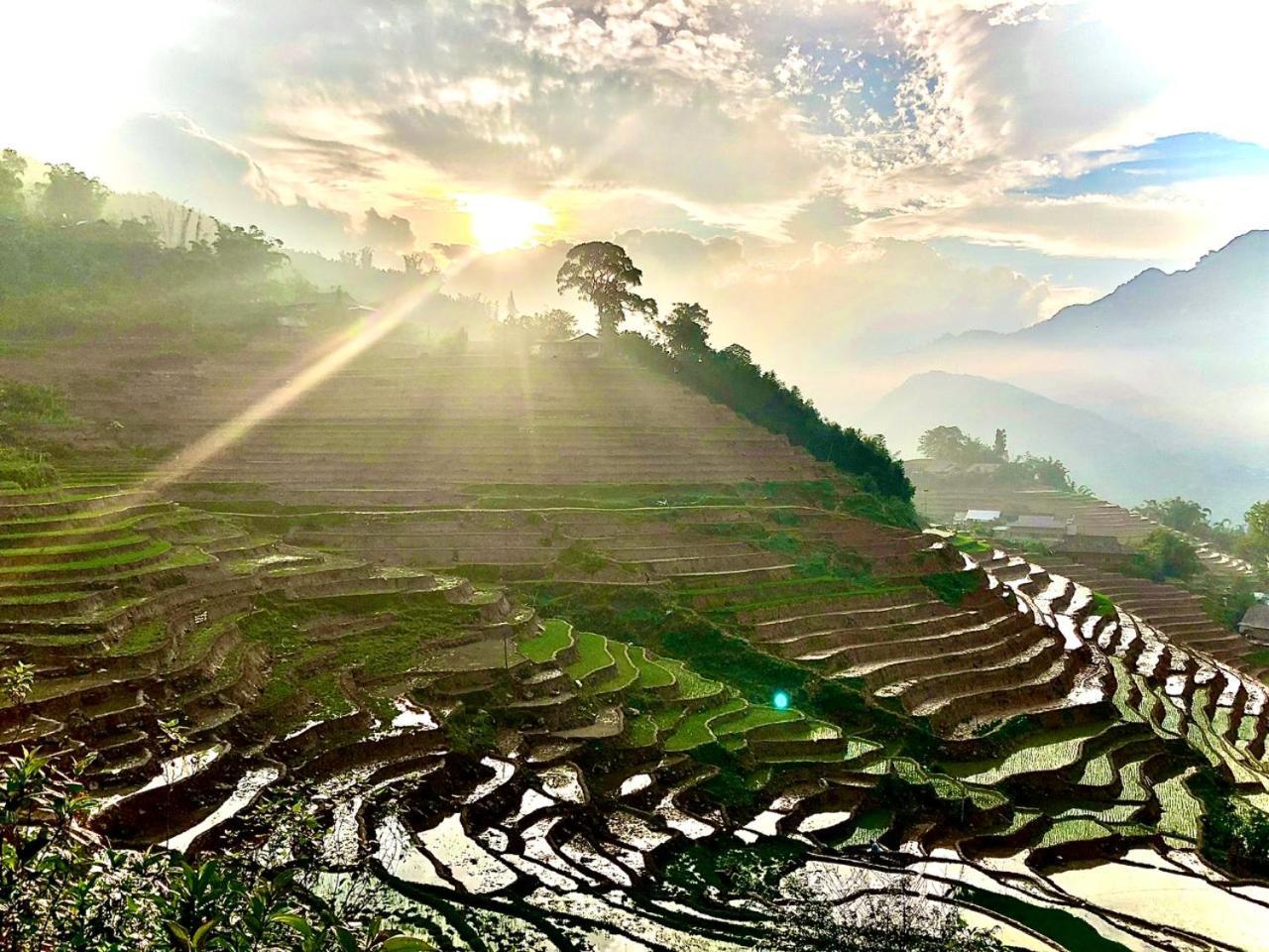 Eco Hills Homestay Sapa Exterior foto